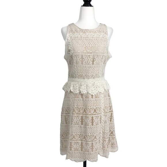 NWT ALL SAINTS Lace Pattern Melia  Mini Dress in oyster white Size 6 - Picture 2 of 16